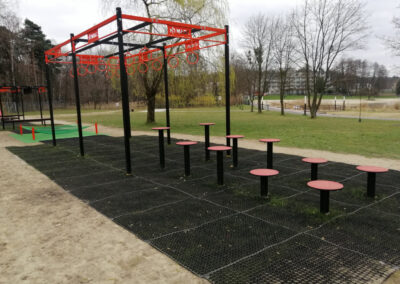 profesjonalne tory przeszkód OCR 100